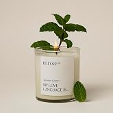 Below 60 Scented Candle | My Love Language is&hellip; | Essential Oil-Based Fragrance | Hand-Made with Paraffin-Free Soy Wax | 100% Cotton Wick | 50 hr Burn Time | Spearmint &amp; Fennel (10oz)