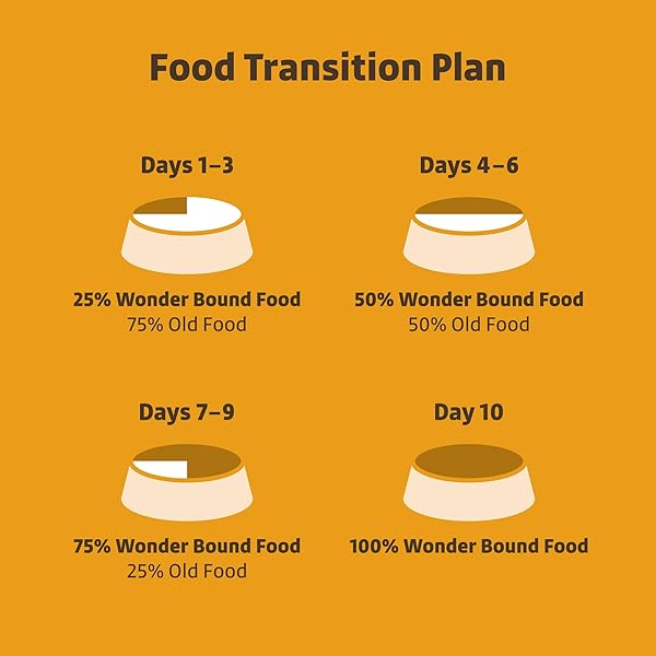 AMAZON BRAND – WONDER BOUND SMALL BREED WET DOG FOOD, GRILLED CHICKEN FLAVOR, LOAF IN GRAVY, 3.5 OUNCE (PACK OF 12)
