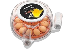 JELSVOP Incubators for Hatching Eggs, Eggs Incubator with Automatic Egg Turning, Incubator for Chicken Eggs, Temperature and Humidity Control, Built-in Egg Candler for Chicken, Duck, Quail