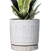 Eightpot Pot for Plants 6 Inch - Ceramic Planter for Indoor Plants Decorative Plant Pot with Drainage Holes and Saucer Outdoor Flower Pot Modern Succulent Pots for Office Desk Decor White