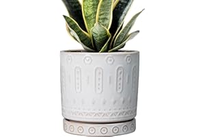 Eightpot Pot for Plants 6 Inch - Ceramic Planter for Indoor Plants Decorative Plant Pot with Drainage Holes and Saucer Outdoor Flower Pot Modern Succulent Pots for Office Desk Decor White