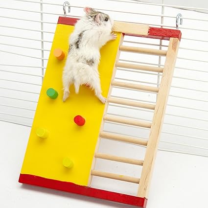 Accesorios para hámster