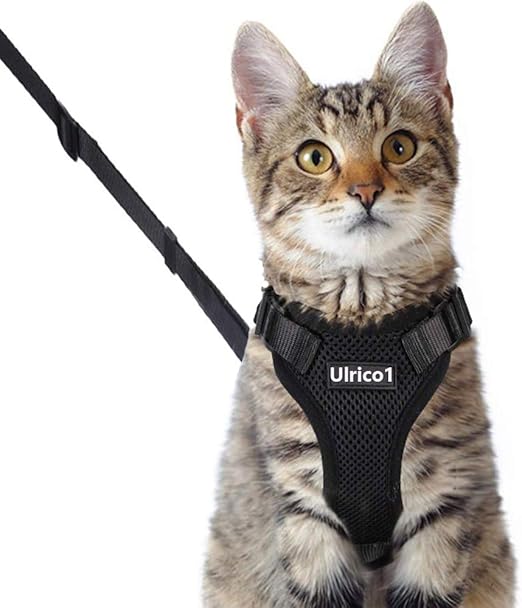 cat harness for large cats
