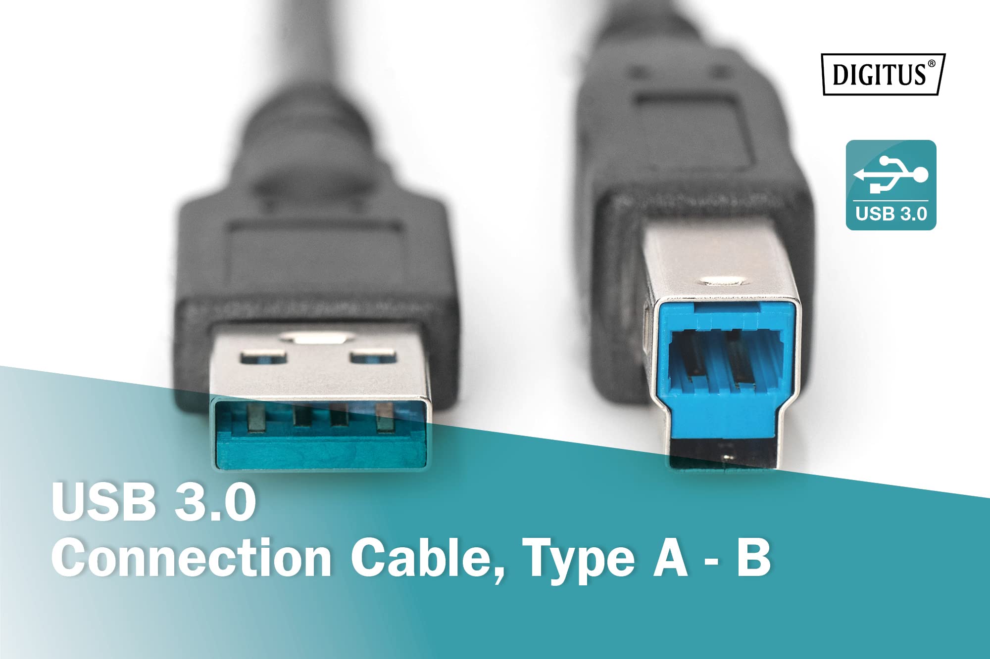 View 5