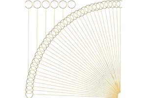 H&W 12''L Golden Ring Loop Round Shape Card Holders 40PCS Floral Picks Clips for Wedding & Flower Arrangements, DIY Craft Wire Clip Table Card Holders Note Photo Picture Memo Holder Cake Topper (Ring)