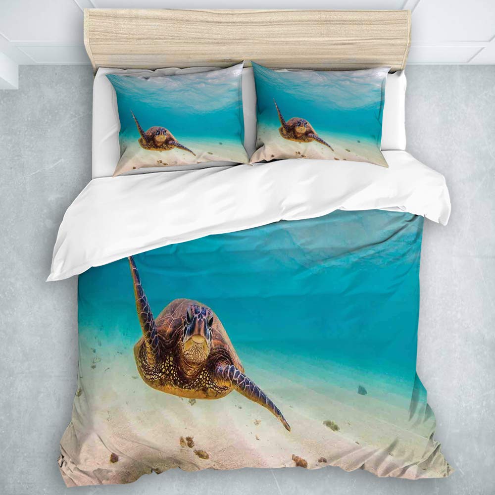 Best Underwater Diving Bedding