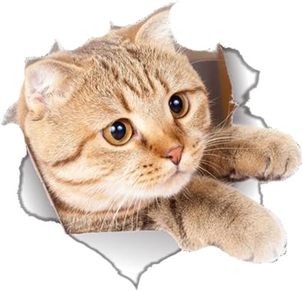 Amazon Co Jp 1st Market 壁のラベルアニマルステッカー猫の勇ましいコミック動物バスルーム ベッドルーム キッチン リビングルームのためのかわいい壁のステッカー耐久性のある便利なdiy装飾 ホーム キッチン