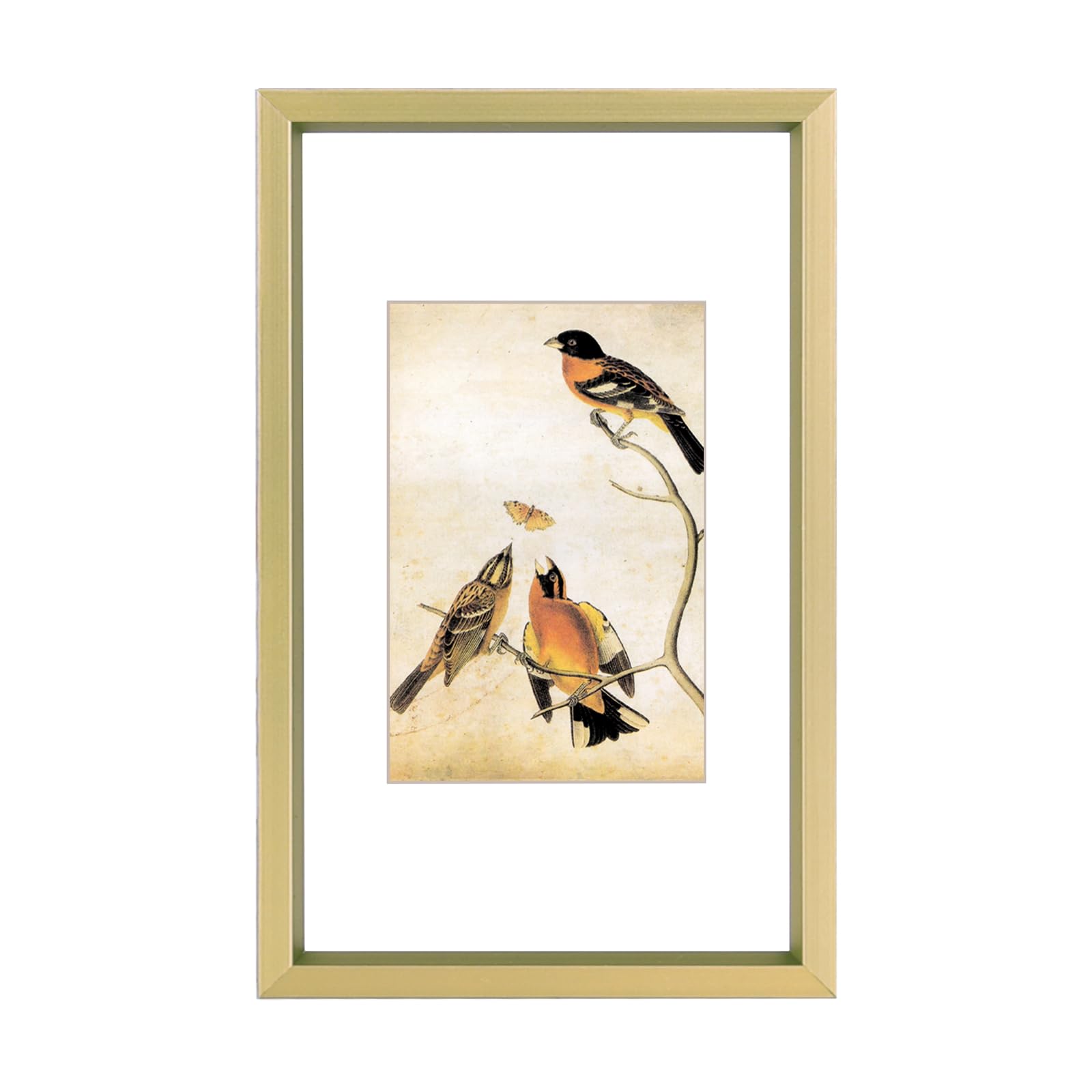 Photo 1 of 3x5 Picture Frame, Brass Metal Photo Frames with HD Glass, Fits 2x3 with Mat or 3 x 5 without Mat, Display for Wall and Table, 1 Pack