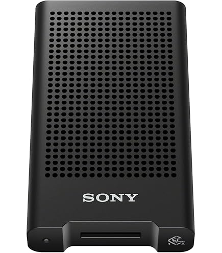 Amazon.com: Sony CFexpress Type A 160GB Memory Card with
