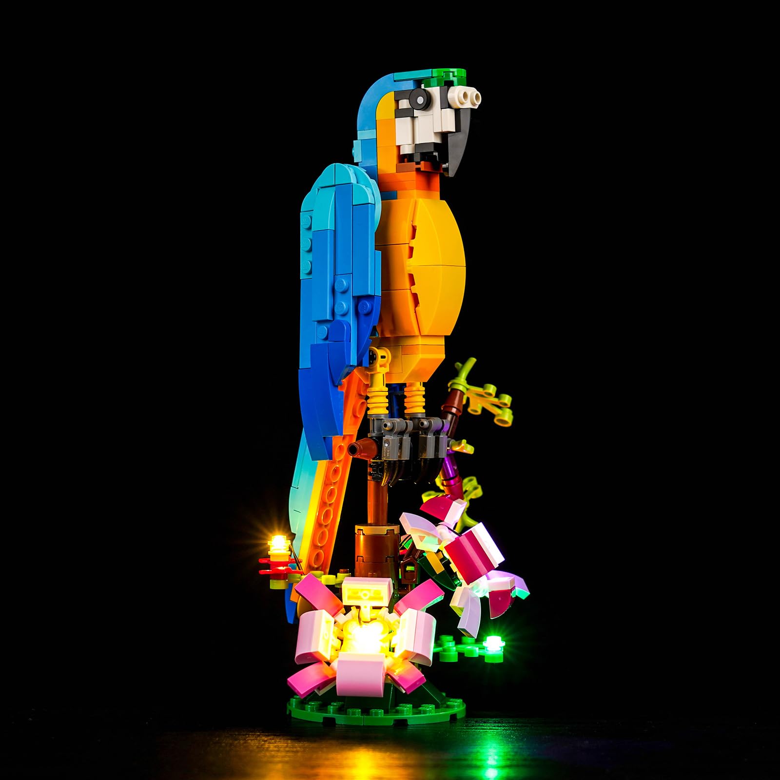 Light Kit for Lego Exotic Parrot 31136, Lighting Set for Lego 31136 Creator 3 in 1 Exotic Parrot to Frog to Fish Animal Building Toy - Not Include Models, Just Light Kit — image 1