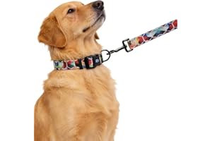 Dog Collar and Leash Set with Quick Release Buckle Reflective Dog Training Adjustable Collars Set for Small Medium Large Dogs