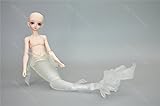 Zgmd 1/4 BJD doll SD doll the mermaid male doll