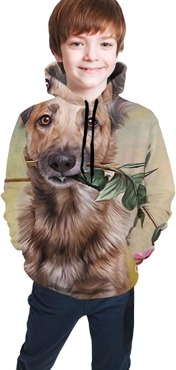 dog holding hoodie