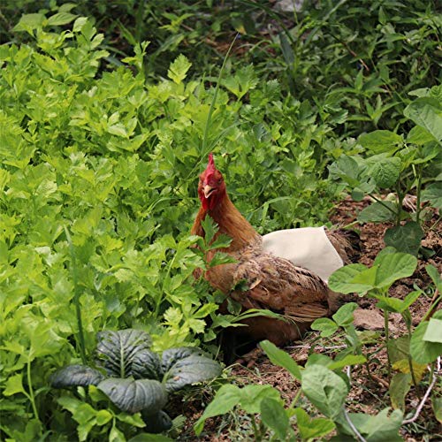 YMZ 3 Stück Hennen-Huhn-Sattelschürze mit Federrückenschutz, Standard-Huhn, Ente, Weste, Kleidung, Jacken (Beige) – Bild 8