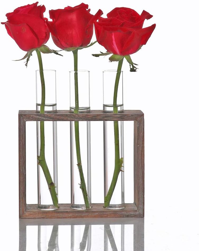 Test Tube Rack Planter, Transparent Hydroponic Flower Clear Vase with Wood Stand Frame Perfect for Coffee Shop Home…