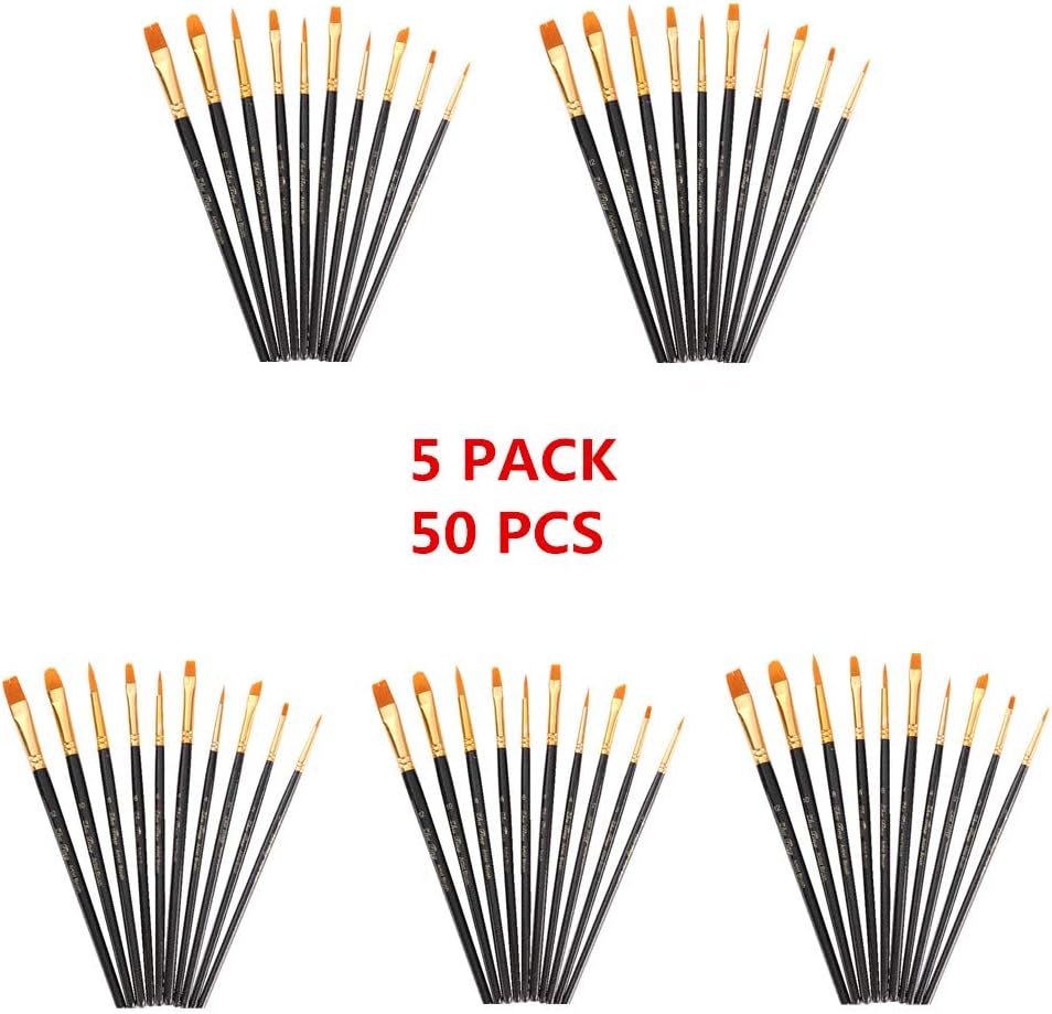 AOOK 50 Pieces Paint Brush Set Professional Paint Brushes