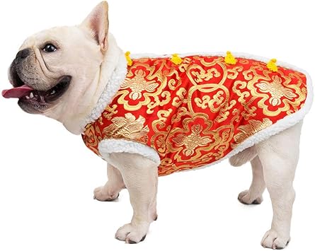 selling dog clothes how much money you make