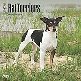 2017 Rat Terrier Wall Calendar Dogs {jg} Best Holiday Gift Ideas - Great for mom, dad, sister, brother, grandparents, , grandchildren, grandma, gay, lgbtq.
