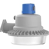 Lithonia Lighting Outdoor LED Dusk Dawn Security