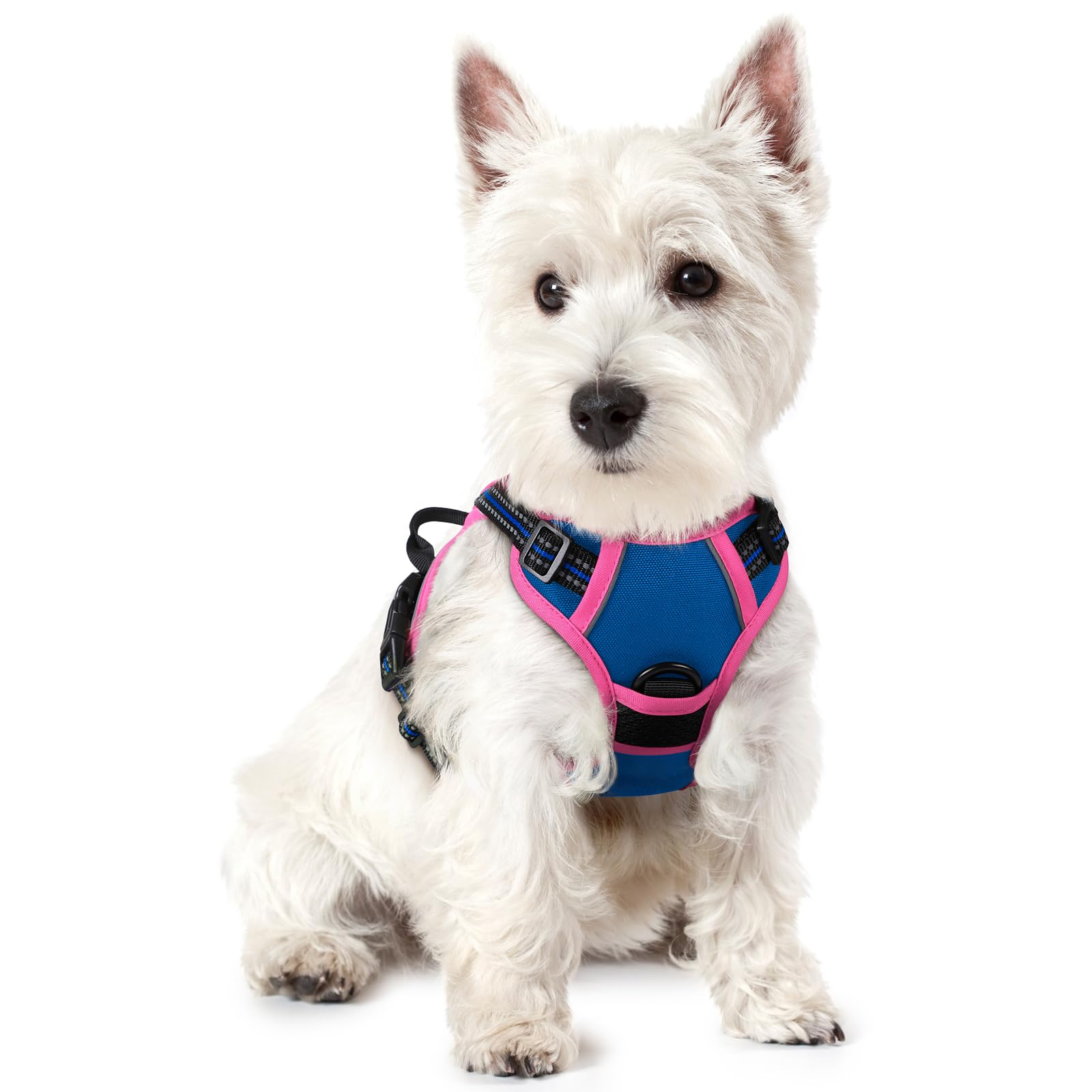rabbitgoo Dog Harness No Pull with 2 Leash