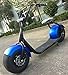 Schwinn Roadster Tricycle, 12