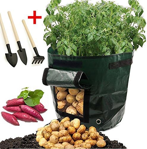 SEEQS 7 Gallon Potato Grow Bags + Spade Shovel Rake Set Cultivation Planting Garden Pots Vegetable Potato Carrot &amp; Onion Planting Bags Grow Bag Farm Home Garden PE Bag-By