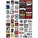 Band Stickers 220pcs Unduplicated Punk Rock Roll Music Decals, Cool Vinyl Graffiti Stickers for Electronic Organ Guitar Piano Violin Drum Flute Laptop Car Helmet Bicycle