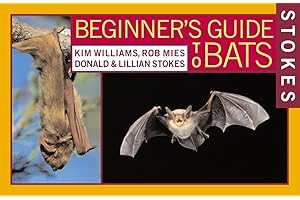 Stokes Beginner's Guide to Bats
