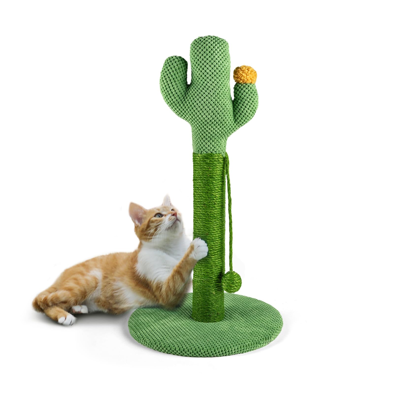 Cat Scratching Post for Indoor Cats Cactus Scratch Post Medium Kitten Scratching Post Sisal Rope Covered 58cm Cat Post With Ball Sturdy Claw Scratcher Stable Base Heavy Duty 23inch