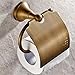Leyden Brass Toilet Paper Holder, Antique Brass Toilet Paper Holder Bathroom Tissue Roll Holder with Cover Wall Mounted