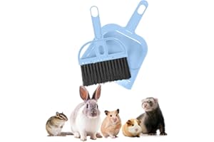 2 BROTHERS WHOLESALE Mini Broom and Dustpan Set - Compact Cleaning Kit for Home, Car, Camping, Small Spaces, Pet Cleanup, and Travel - Durable Small Broom and Dustpan Set Mini - Sky Blue Broom