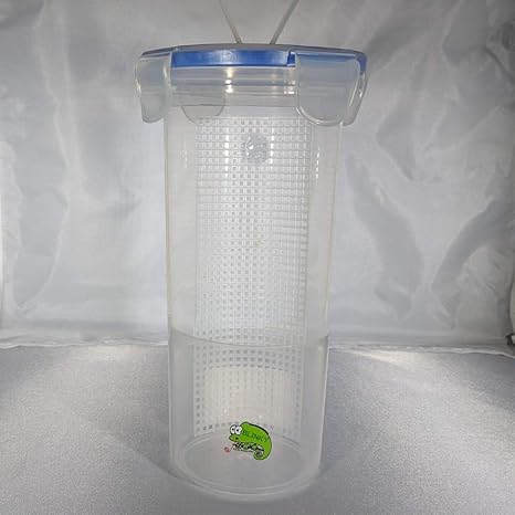 Amazon Com Blinky Chameleon Bar Hanging Food Dish For Reptiles