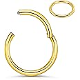 PIERCINGBOY 18 Gauge 9mm 316l Surgical Steel Hinged Nose Rings Hoop 18G Gold Nose Hoop Septum Ring Clicker for Women Men Cartilage Earrings Helix Daith Rook Lip Nose Piercing Jewelry