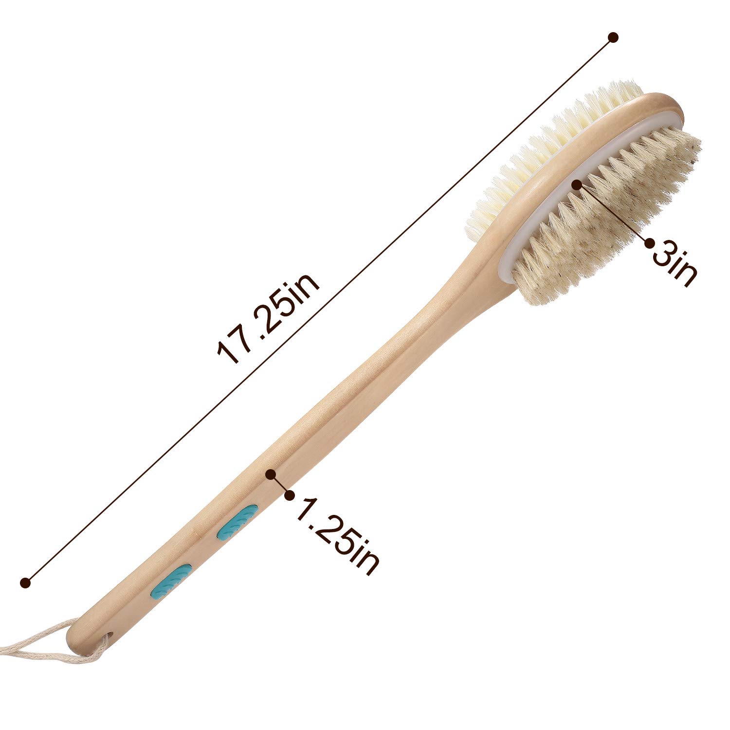 Shower Brush with Soft and Stiff Bristles, for Exfoliating Skin and A Soft Scrub, Double-sided Brush Head for Wet or Dry Brushing, Specially Long Wooden Handle Cleans the Body Easily : Beauty
