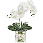 White Orchids Artificial Flowers 16.1" Faux Orchids Plant in Pot Fake Flower Arrangements with Glass Vases Small White Centerpieces for Kitchen Dining Room Tables Bathroom Nightstand Shelf Desk Decor