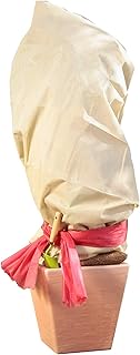 Windhager Winter-Vlies SUPERPROTECT Thermovlies Gartenvlies Frostschutz Kälteschutz für Bäume und Pflanzen, 1,5x3 m, 70 g/m², beige, 06722