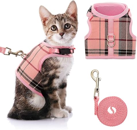 cat harness for large cats