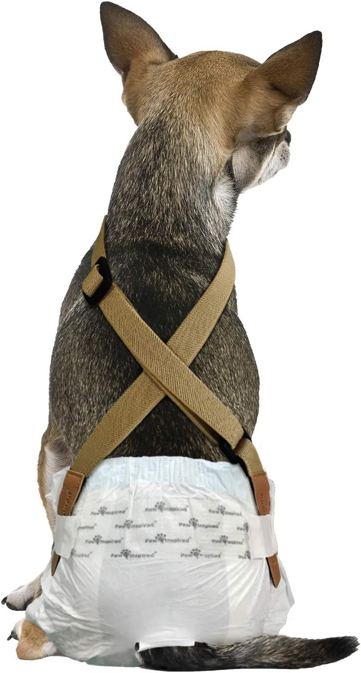 Paw Inspired The Original Dog Diaper Suspenders | Belly Bands Canine Harness | Durable Dress & Diaper Keeper | Keep Diaper on Your Dog, for Small Medium and Large Dogs (XS/S, Brown)