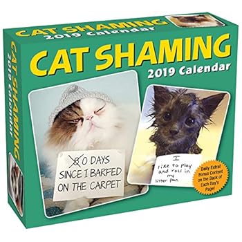 Cat Shaming 2019 Day-to-Day Calendar Cat Shaming 2019 Day-to-Day Calendar