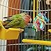 Pet Magasin Hand Made Bird Toys [3-Pack] - Interactive Perch, Stand & Swing for Birds of All Kinds