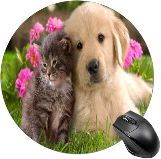 Amazon Com Perfecone Home Improvement Pillowcase Cute Dogs And Cats Take Pictures For Sofa And Car Pillow Case 1 Pack 21 X 13 Inches 53 Cm X 13 Cm Home Kitchen Amazon Com Perfecone Home Improvement Pillowcase Cute Dogs And Cats Take Pictures For Sofa And Car Pillow Case 1 Pack 21 X 13 Inches 53 Cm X 13 Cm Home Kitchen