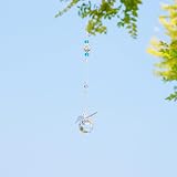 H&D HYALINE & DORA 30MM Crystal Ball Prism Rainbow Maker Suncatcher view 6