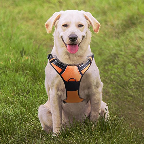 No Pull Dog Harness with Front Clip,Walking Pet Harness with 2 Metal Ring and Handle,Reflective Oxford Padded Soft Vest For Small Medium Large Breed (Orange, S)