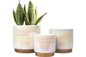 Gepege White Indoor Pots for Plants, Ceramic Planter with Drainage Hole, 6.0 inch+5.0 Inch+4.0 Inch. Succulent Orchid Flower Pot - Rainbow Pearl Glaze