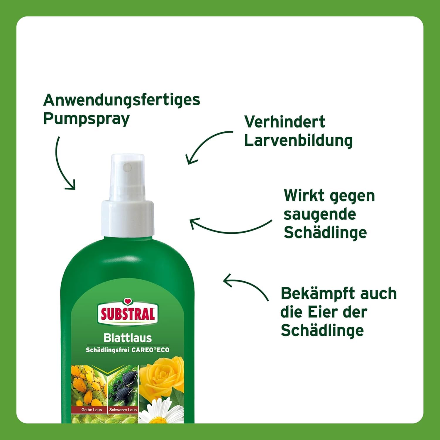 Substral Blattlaus Schädlingsfrei Careo, Natürliches Mittel gegen saugende Pflanzen-Schädlinge wie Blattläuse, 300 ml 2