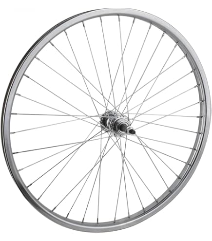 Coaster Brakes Lowrider Gold 24