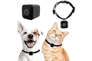 KinetCam Cat Camera Collar, No WiFi Needed No APP,Cat Collar Camera with Video Record, Body Camera for Cat/Dog Recording,Camera for Cat Collar,Pet Collar Camera Outdoor, Dog/Cat Birthday Gift