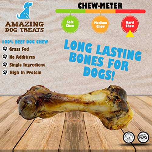 68 Inch Meaty Pork Femur Ham Bone (3 Count) Made in USA Large Bone