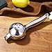 VITAUS Lime Press – Lemon Squeezer – Citrus Juicer, Premium Quality High, Stainless Steel, Convenient Hand Juicer, Silver Colour (2.4 x 1.8 x 8.4 inch) - Black Friday Discount