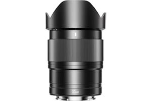 YONGNUO 35mm F1.8, DA Art APS-C Frame Lens for Sony E Mount, STM Auto Focus Prime Lens, 35mm f/1.8 Lens for Sony ZV-E1, A1, A